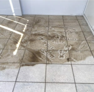 Should I seal my grout? Scotchguard the carpets? - Pristine Tile & Carpet  Cleaning